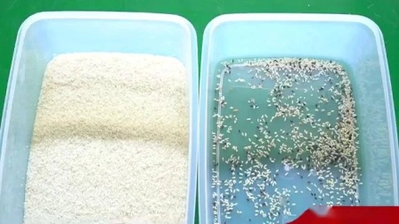 Seletor de arroz da máquina de processamento do arroz da máquina do classificador da cor do arroz do CCD mini